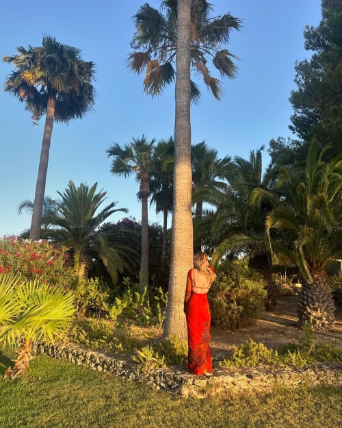 lily3376257227cf9cb4c