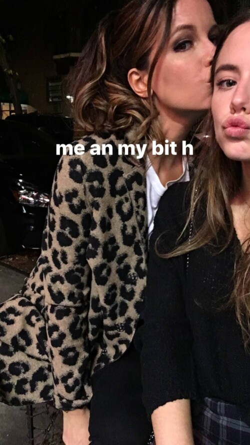 lily 096085034948a4ba2e