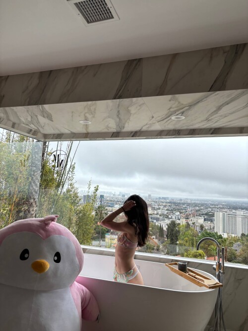 ling 2 2b82a317a4e347f15