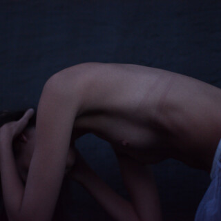 link-0011830c32ff0c5de02df9