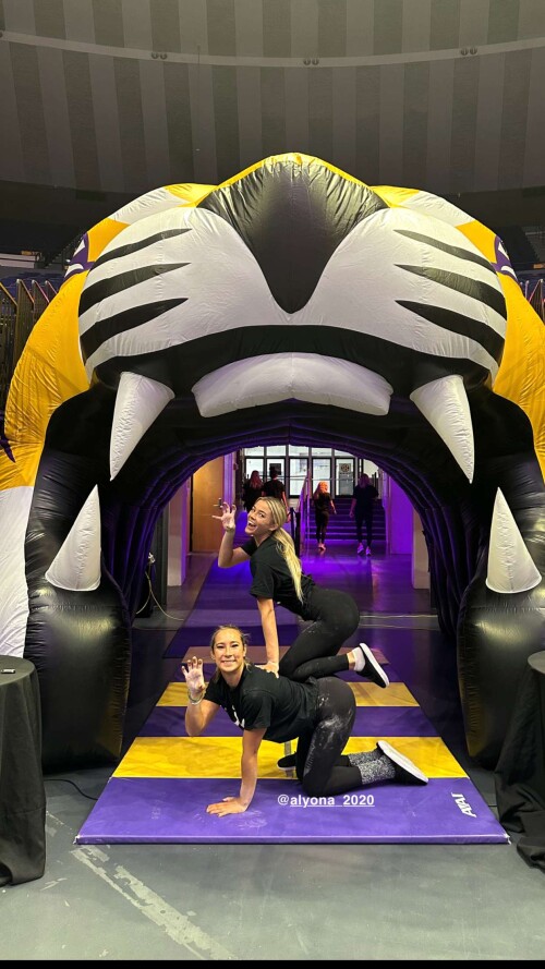 livvy gymnast RDownloada271481bb834590f