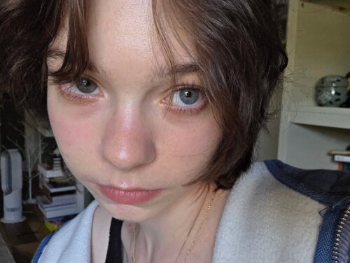 lots-of-cats67d951d63a362fe6