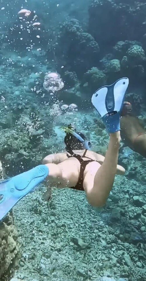 m7agoywmsnte12441ad6877ea80dd