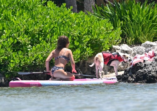 maxpwj75z6b899ce72c30c01132d