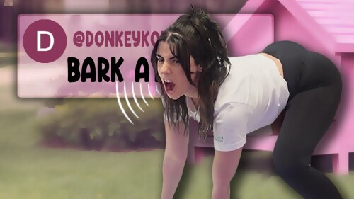 maxresdefault 1849eee63e62c49ec