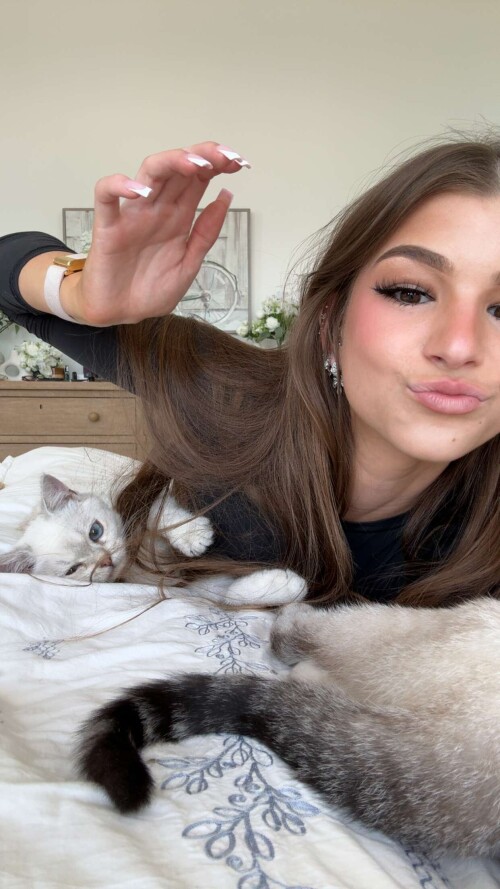 media 2531a63e4013dc4d22