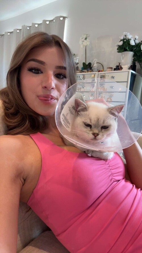 media 31321061d7b45b93c9