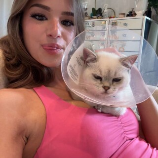 media-31321061d7b45b93c99df8ff467e9eba15