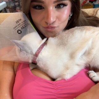 media-33dce6eb6de3f23fa2d12935e67e0f212c