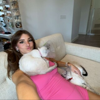 media-35a502f65f42c34433a4865e813836963a