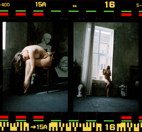 media 175051758 fsx 37792c93942e7ac8b