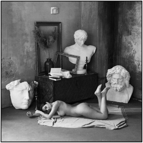 media 175052183 DSC 8071a38cee28c76c3d43