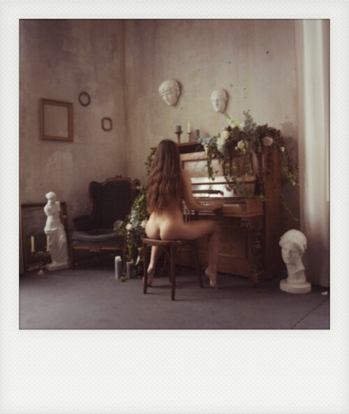 media 175052190 polaroid r1f03c698f239ce379