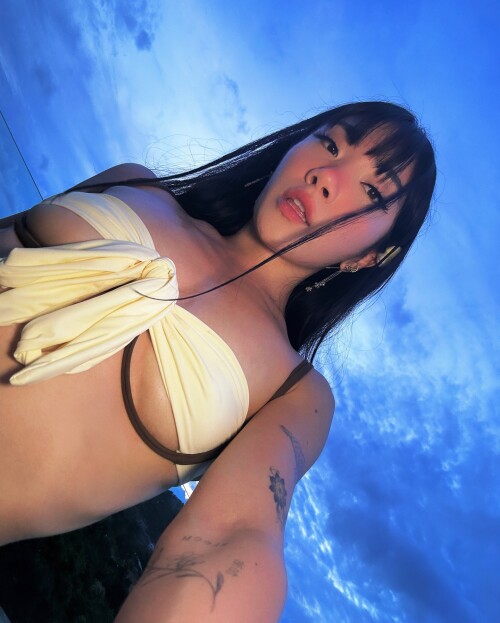 meowyowo 20241214 170123 40218079452c8b49ca1ffd60d