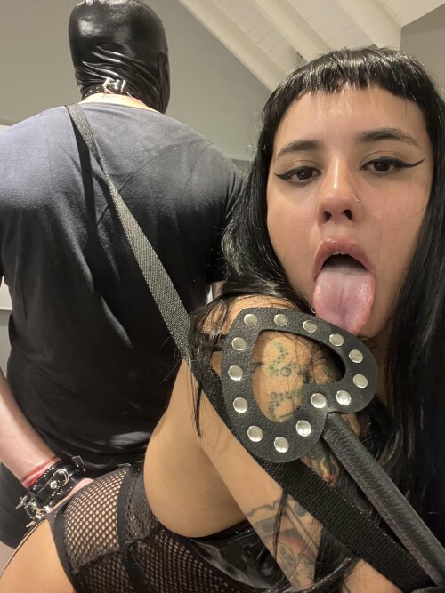 moli 27eb4945a71e44c6a5