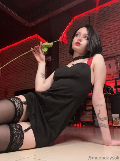 moond 3e75edff926c8c263