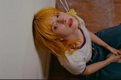 more new v0 n0lm3s9v7tlf17c9d281356f695b6