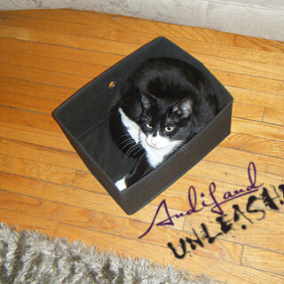 mozart005ec91bf1b563bbbc0