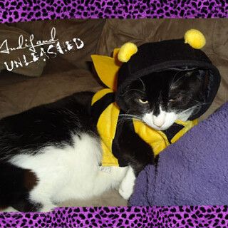 mozarthalloween04cd9437ecd739e963