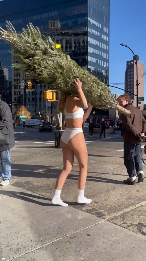 mpv shot0001306800f358491318