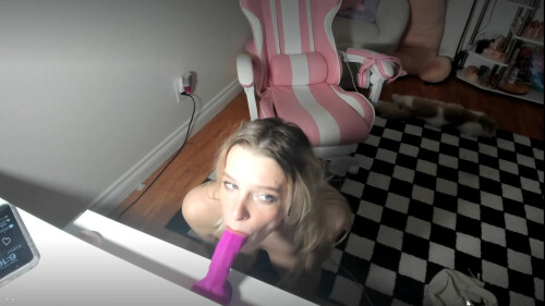 mpv shot0015498cd7043771da61