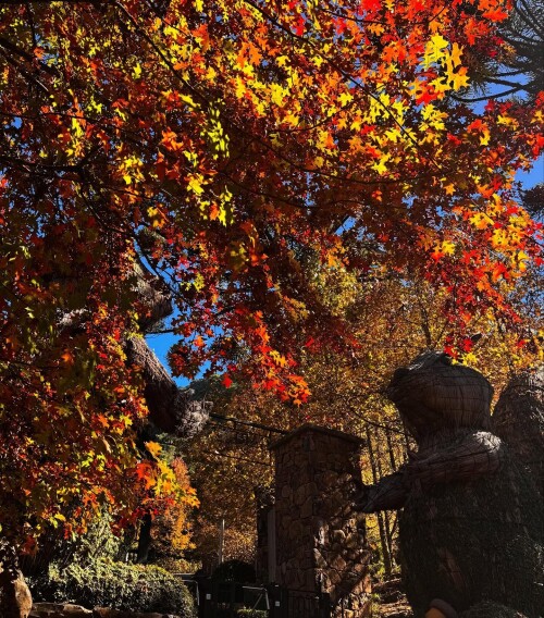 mymaiboo 20250504 161230 13862361161f03e57a2833cd32