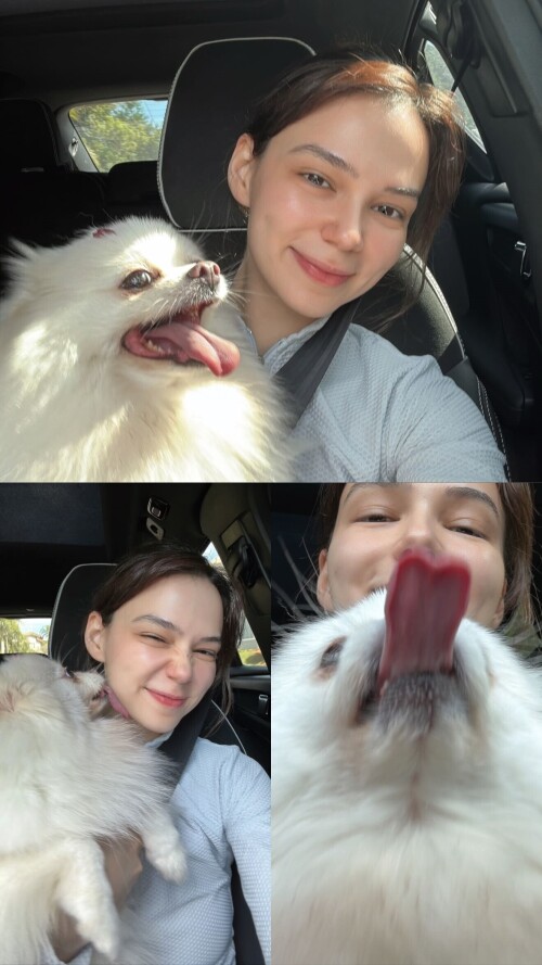 mymaiboo 20250526 173017 3084662456a026abed5b6a7dbb