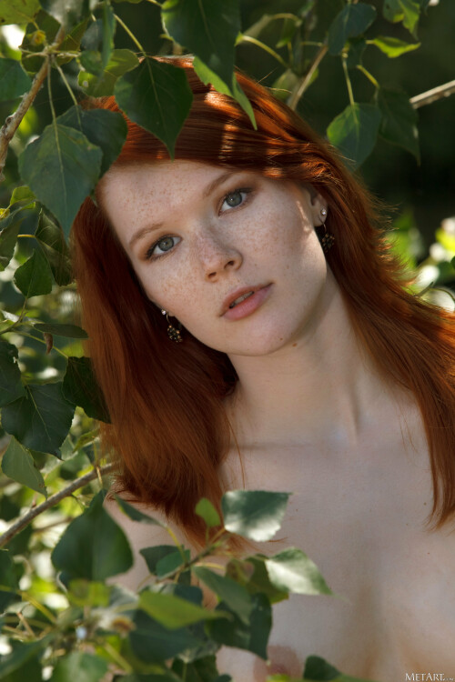 nsfwalbum 567330 00111