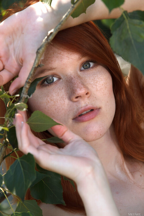 nsfwalbum 567330 00112