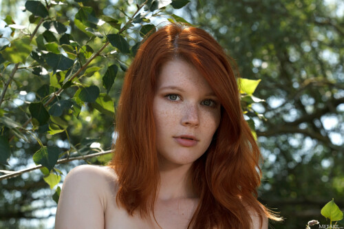 nsfwalbum 567330 00116