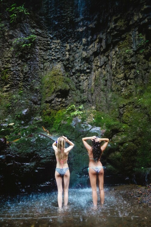 p 463ea7a327333e8a74c