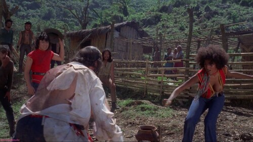 pam grier nude big bird cage 08