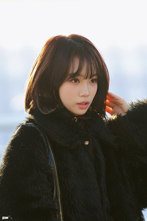 paw 1872079880873271480 2d754aab5ff95efba