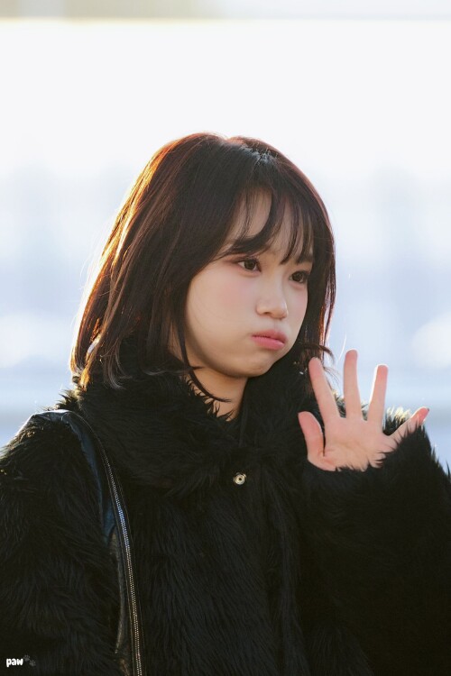 paw 1872079880873271480 30cd13a1b2ac9db15