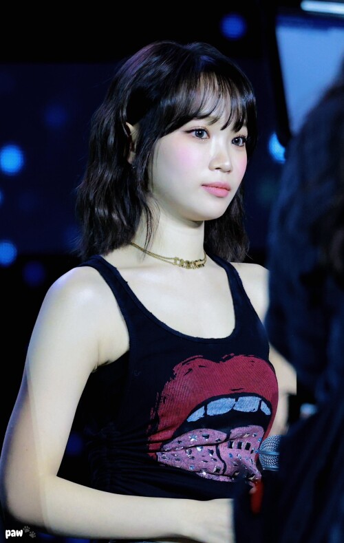 paw 1872779509705130289 372feacb7ca0a767a