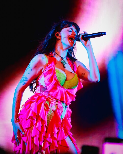 perritofotografo 2025 05 17T231825.000Z 376722bfb9c5cc9a3