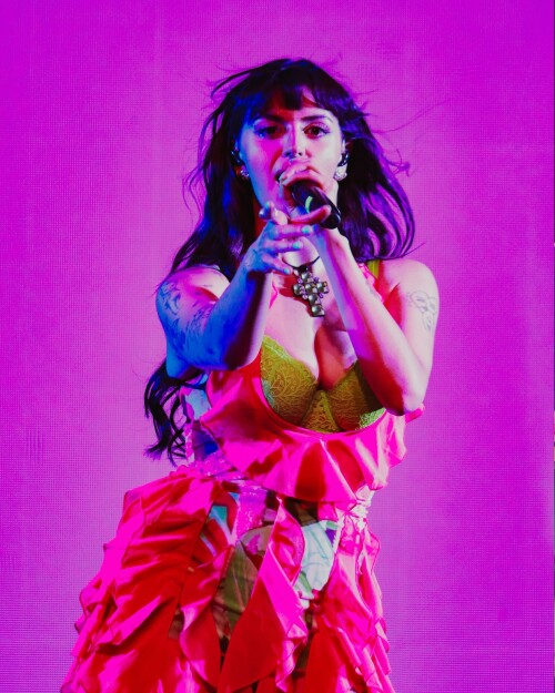 perritofotografo 2025 05 17T231825.000Za 1239d7dff78aa4ba5