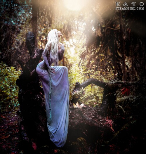 phoca thumb l 29 001e52ad2e2e9e1d6f2