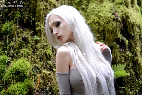 phoca thumb l 31 00181f1198686fe8976