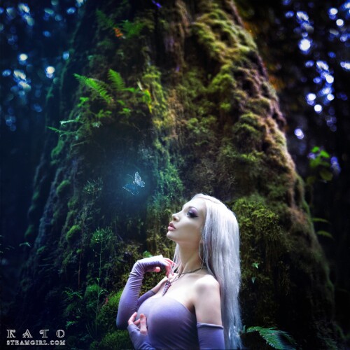 phoca thumb l 38 001e8555151556c11c2