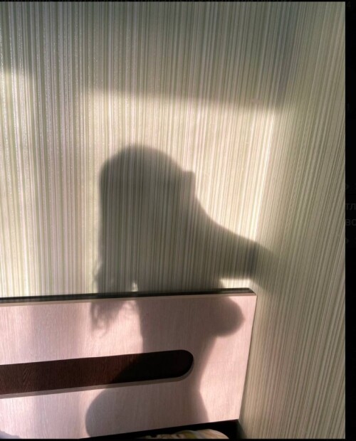 photo5406726792275939524ydd9b9e26ebe7f15e