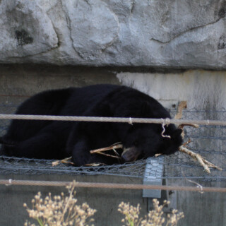 photo_01138b91dffbbf45156