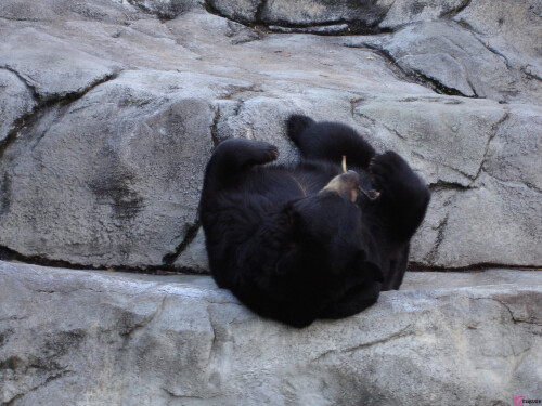 photo 0143b2a03e60927f666