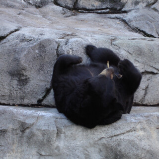 photo_0143b2a03e60927f666