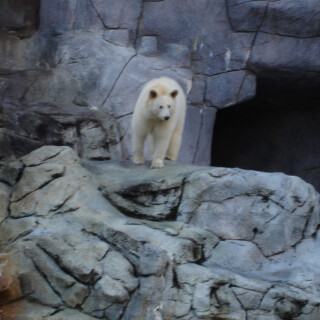 photo_015052a162dc5ca1b74