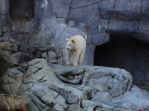 photo 0162510d705c21218ad