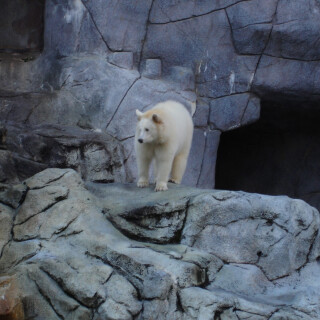 photo_0162510d705c21218ad