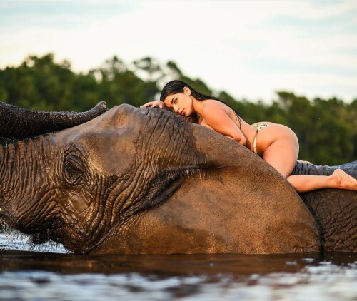 photo 2022 03 17 02 09 17