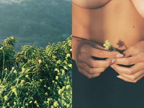 photo 2022 06 03 19 19 51 2