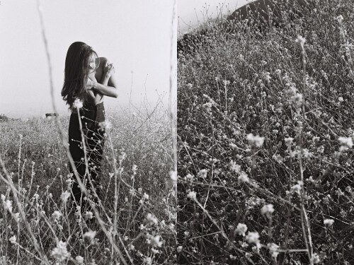 photo 2022 06 03 19 19 52